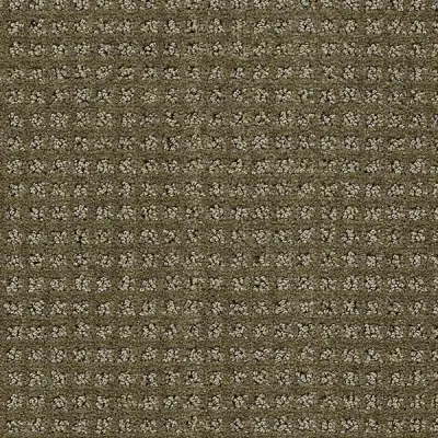 Manhattan Neutrino Carpet