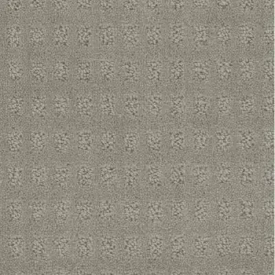 Pacific Heights Nickel Carpet
