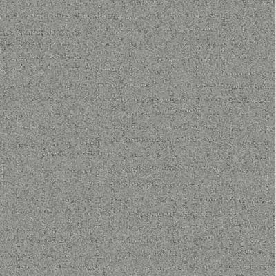 Talk of the Town Nickel Carpet