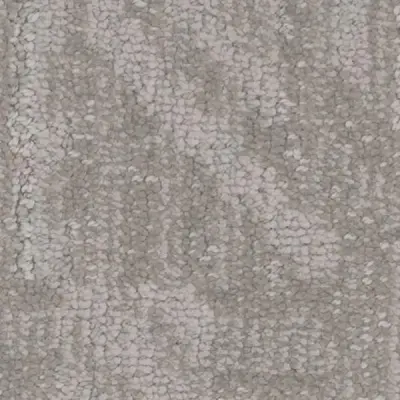 Anthropology Origin Carpet
