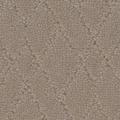 Windham Peak Carpet