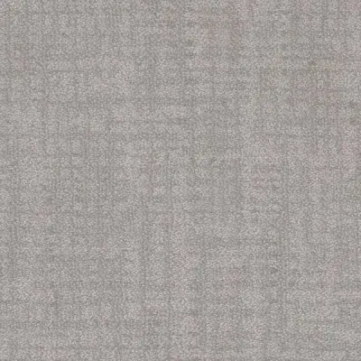 Crosswalk Powder Gray Carpet