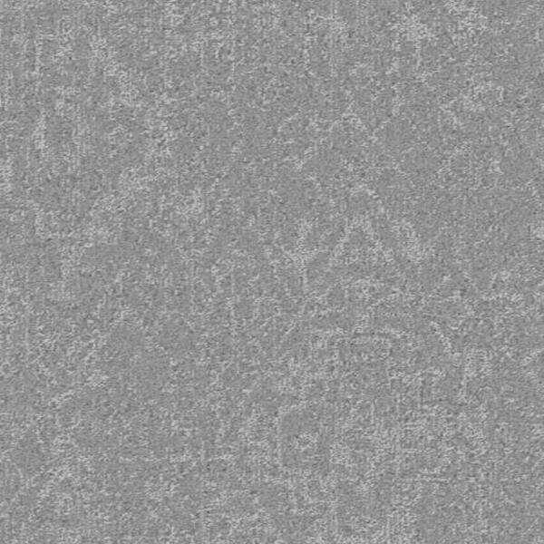 Cypress Powder Gray Carpet