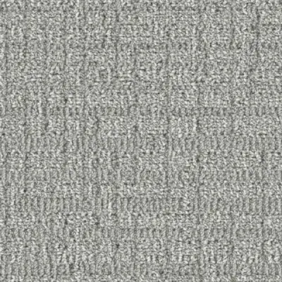 Papyrus Powder Gray Carpet