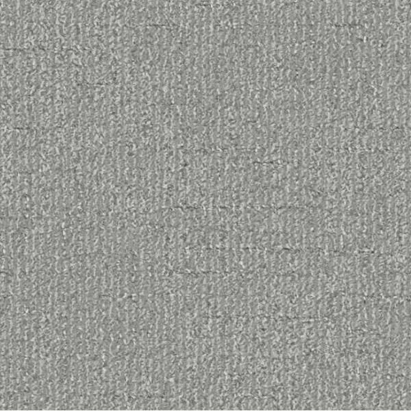 Pleasantries Powder Gray Carpet