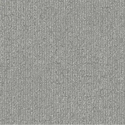 Pleasantries Powder Gray Carpet
