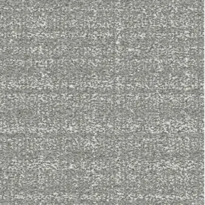 Presidio Powder Gray Carpet