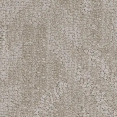 Anthropology Rarity Carpet