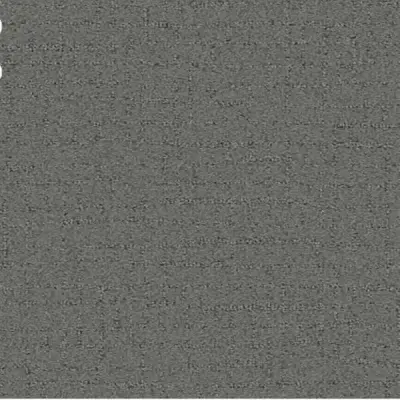 Talk of the Town Silver Lining Carpet