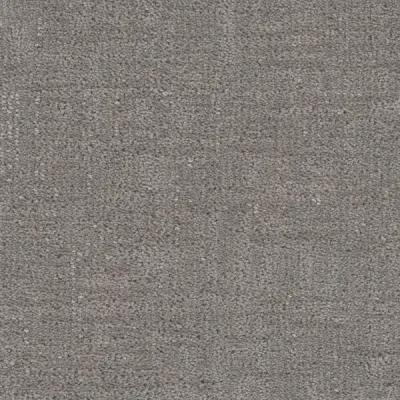 Cadence Steele Carpet