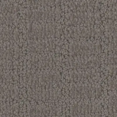 Passageway Storm Carpet