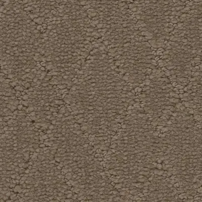 Windham Summit Carpet