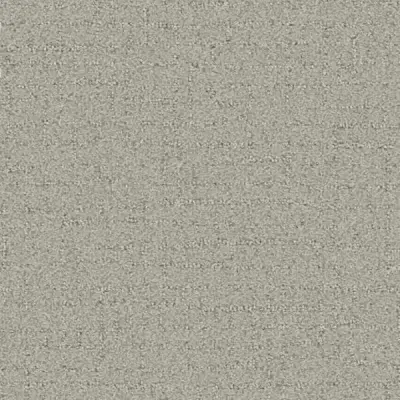 Talk of the Town Vanilla Carpet