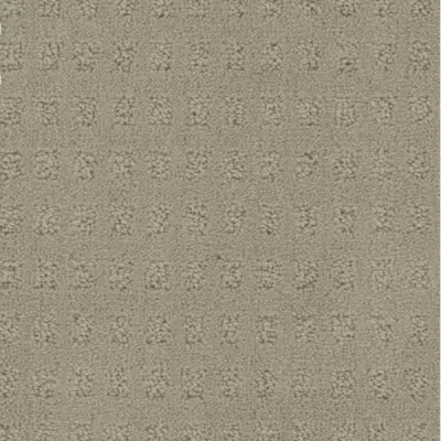 Pacific Heights Weathered Carpet