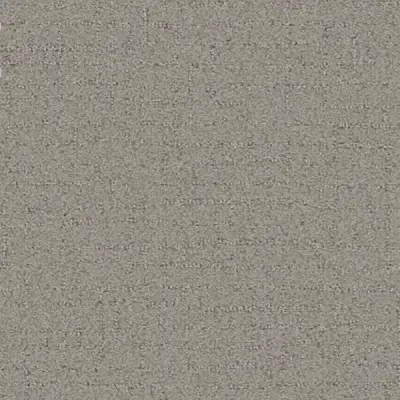 Talk of the Town Weathered Carpet